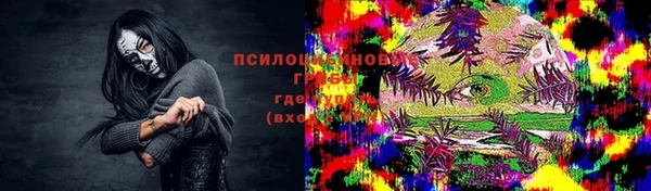 прущая мука Абаза